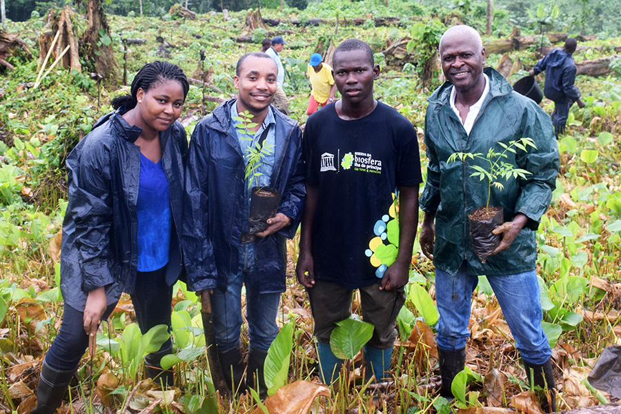 Projecto energia STP