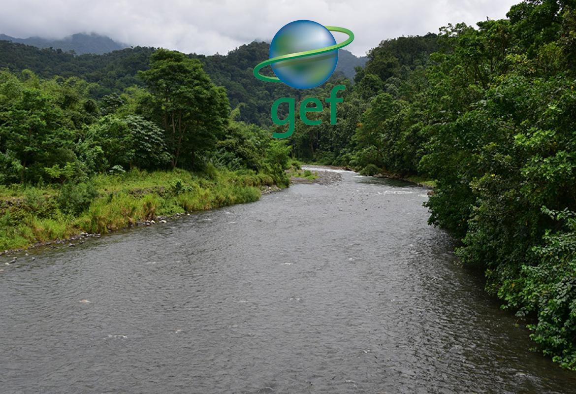 GEF project