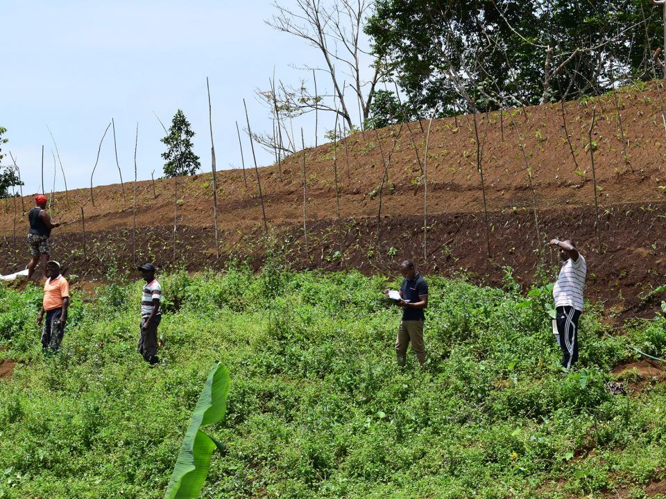 Gestão sustentavél de Terra Agricolas