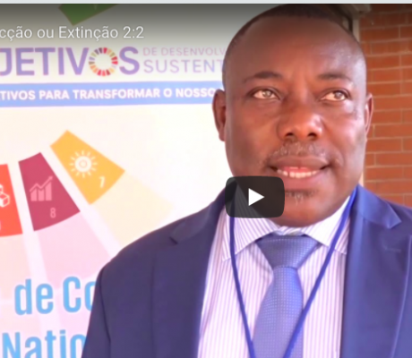 Extracçao video screenshot 2